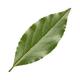Bay Leaf