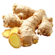 Ginger
