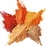 Spices