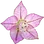 Clary sage