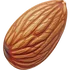 Almond