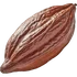 Cocoa