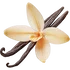 Bourbon vanilla