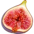 Fig