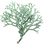 Oakmoss
