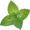 Peppermint