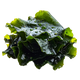 Seaweed