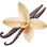 Vanilla