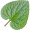 Violet leaf
