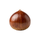 Chestnut
