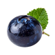 Juniper berry